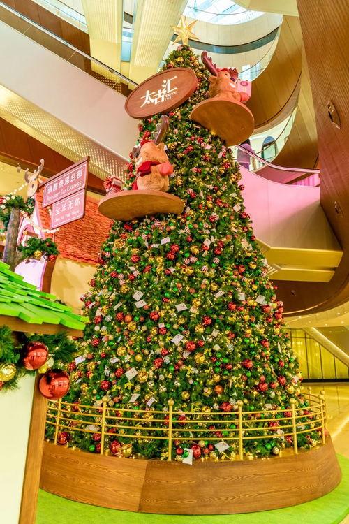 圣诞树3,璀璨星空下的奇幻冒险